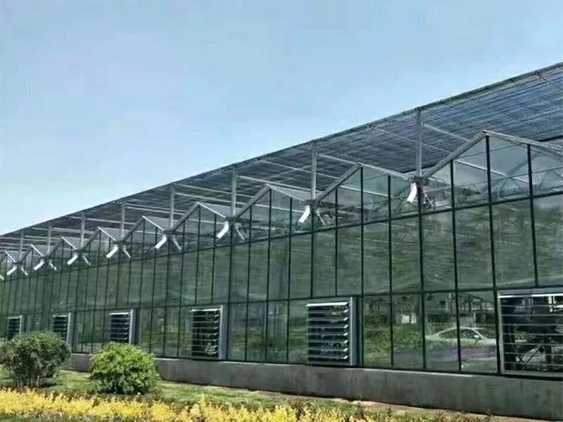 O que torna a agricultura vertical de aço o futuro da agricultura sustentável?