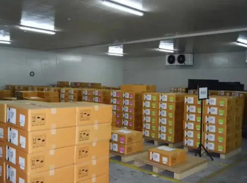 Steel Constant Temperature and Humidity Warehouse