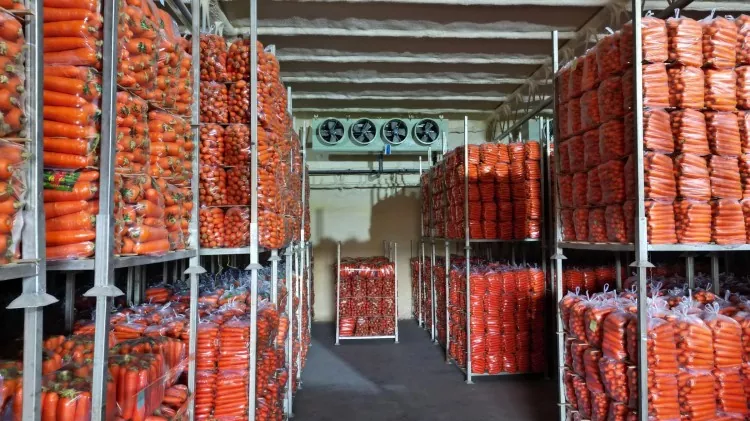 Vegetable Base Warehouse Steel Construction