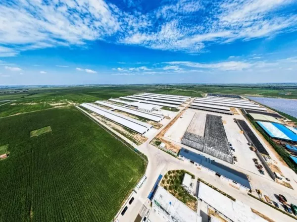 Planta de processamento de alimentos com estrutura de aço